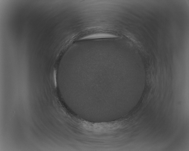 X0000056350022200509021734