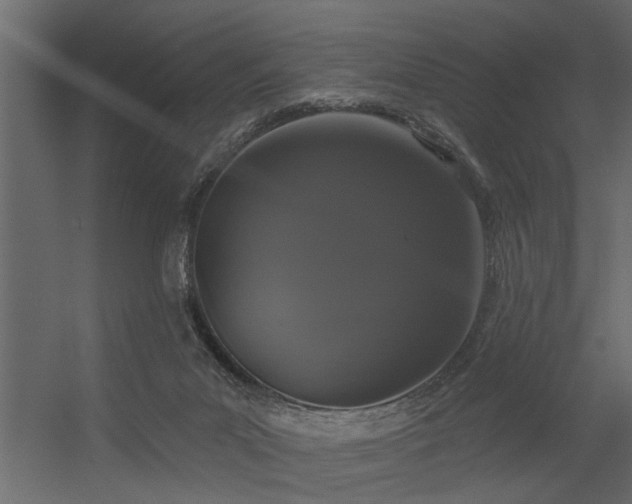 X0000056350023200509021734