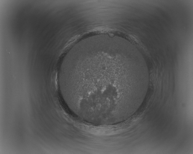 X0000056350024200509021734