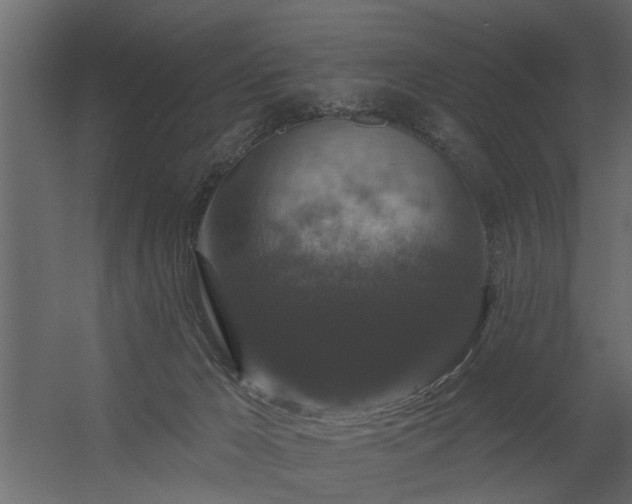 X0000056350029200509021733