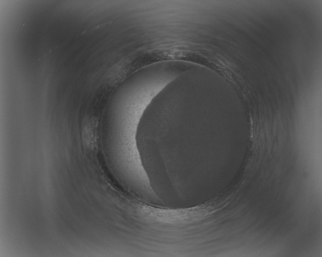 X0000056350030200509021733