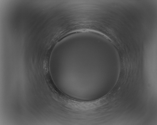 X0000056350031200509021733