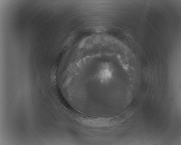 X0000056350032200509021733