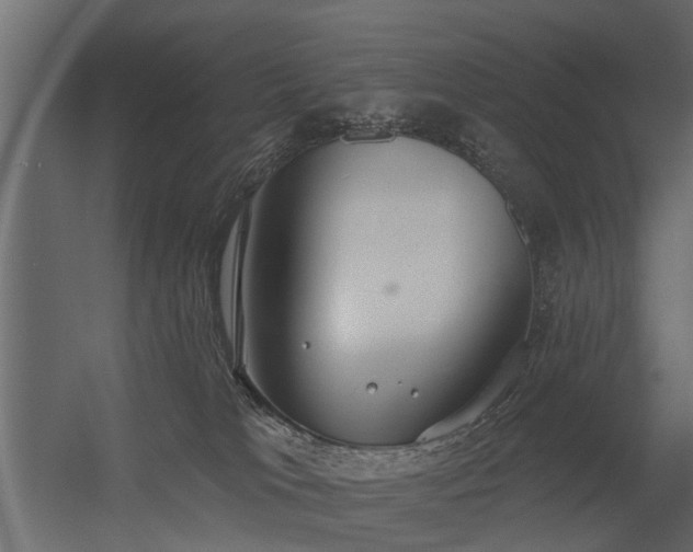 X0000056350037200509021733