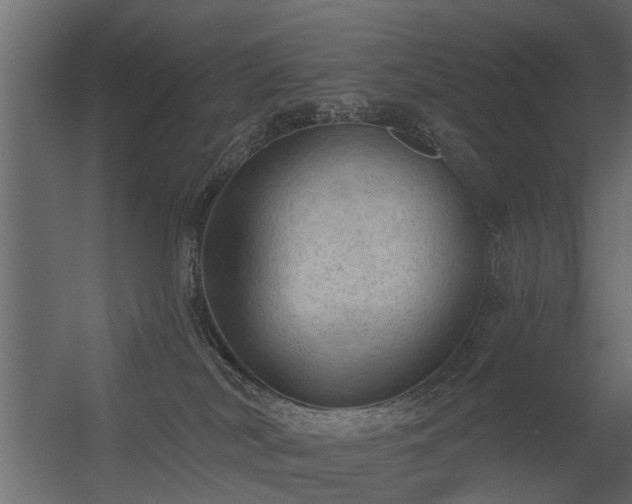 X0000056350038200509021733