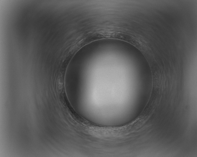 X0000056350040200509021733