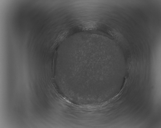 X0000056350041200509021733