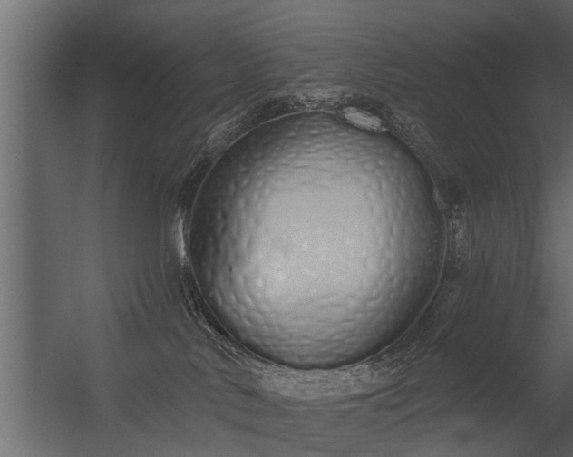 X0000056350042200509021733