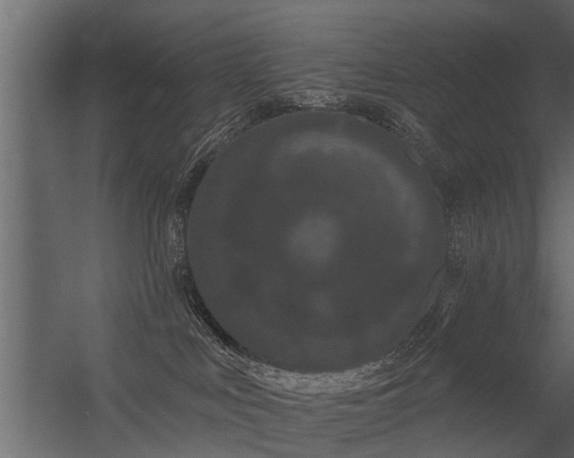 X0000056350043200509021733