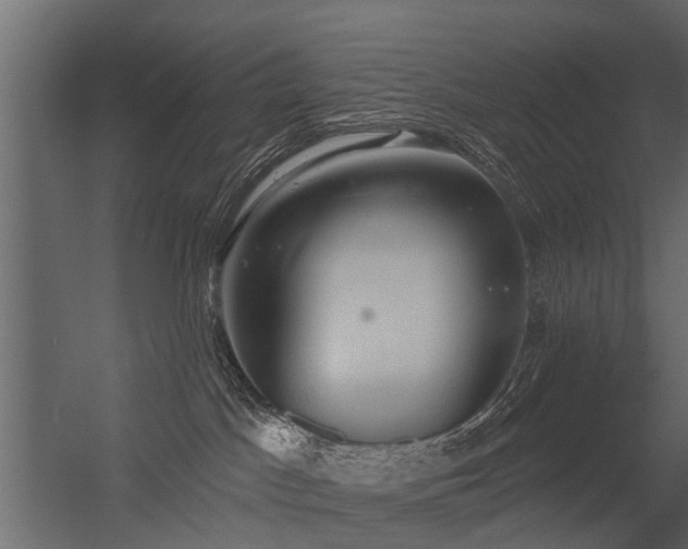 X0000056350045200509021733