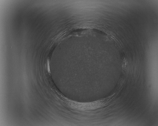 X0000056350046200509021733