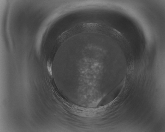 X0000056350047200509021733