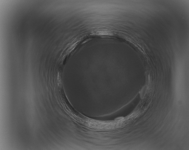 X0000056350048200509021733