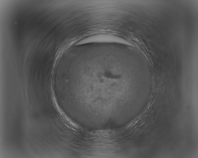 X0000056350049200509021732