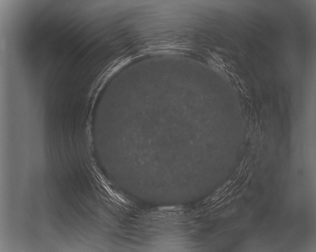 X0000056350050200509021732