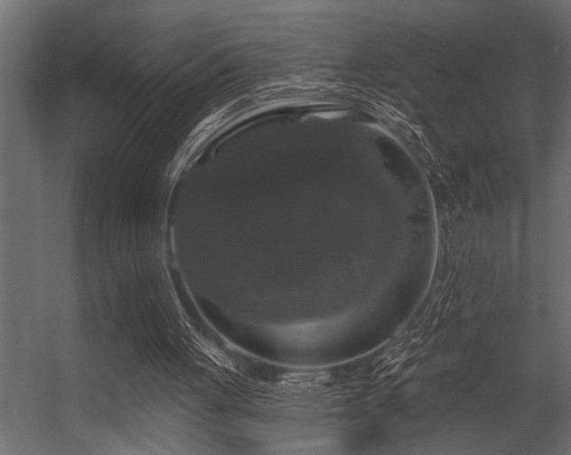 X0000056350051200509021732