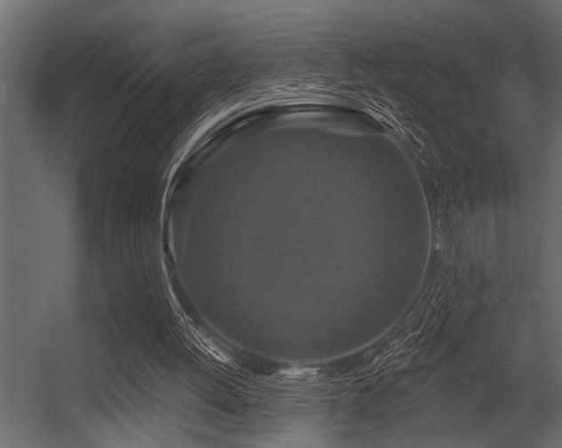 X0000056350052200509021732