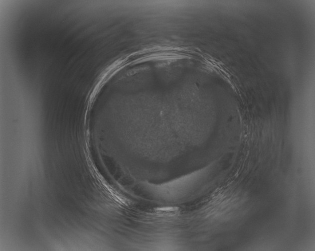 X0000056350053200509021732