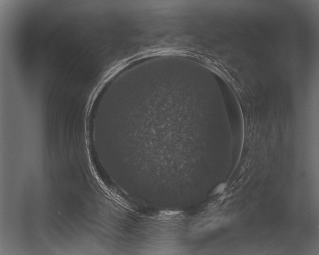 X0000056350055200509021732