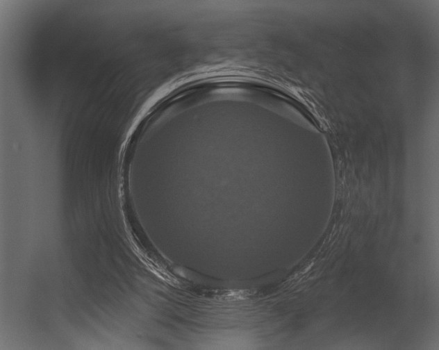 X0000056350056200509021732