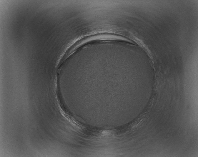 X0000056350060200509021732