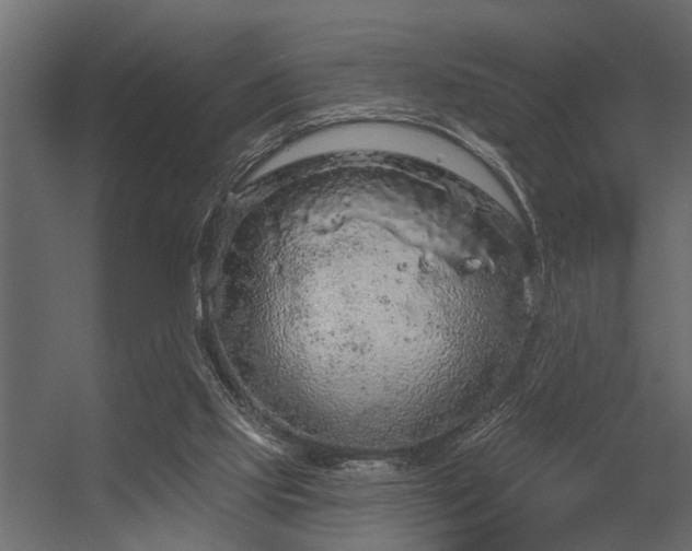 X0000056350061200509021733