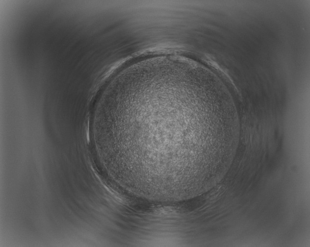 X0000056350062200509021733