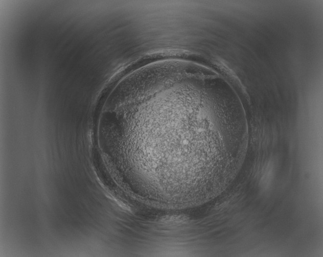 X0000056350063200509021733