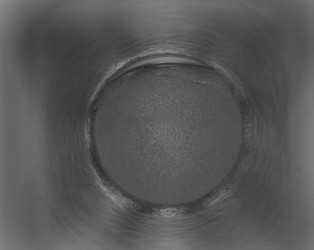 X0000056350064200509021733