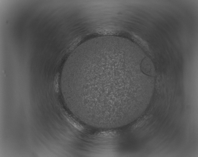 X0000056350065200509021733