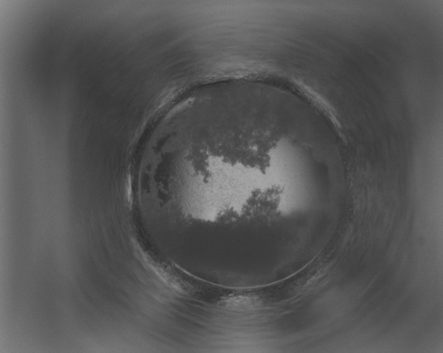 X0000056350067200509021733