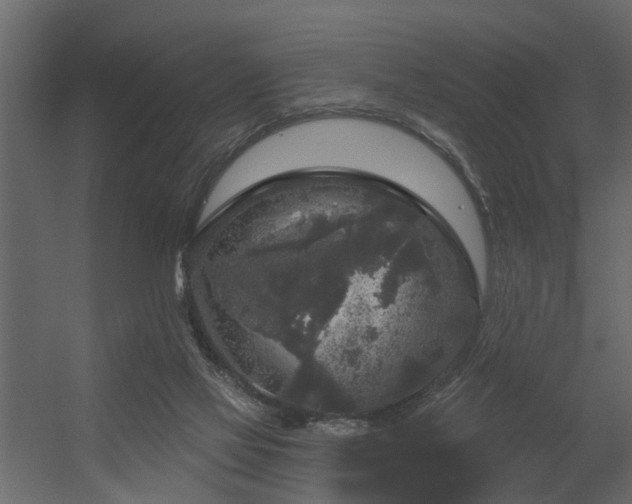 X0000056350069200509021733