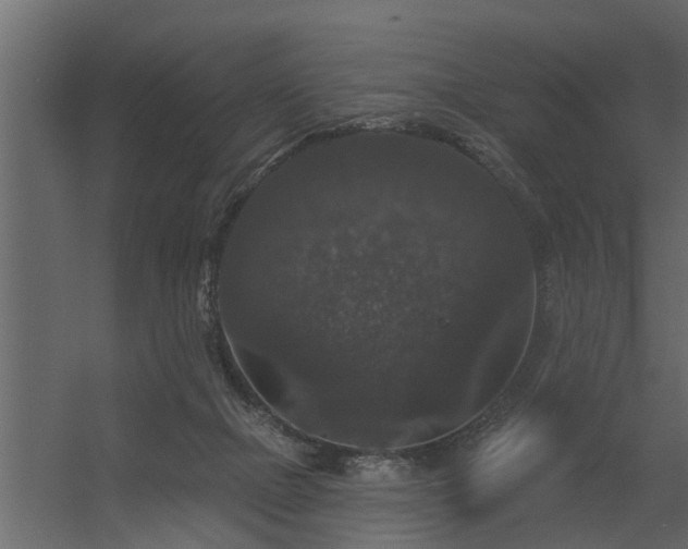 X0000056350073200509021733