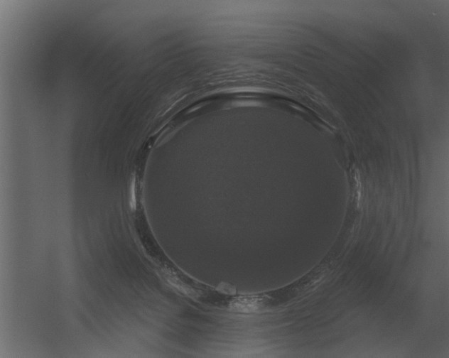 X0000056350076200509021733