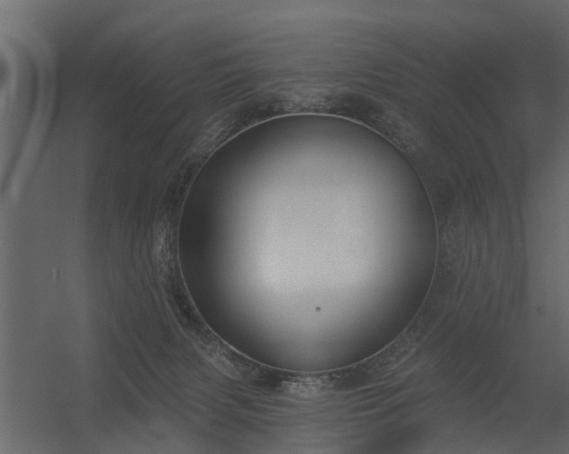 X0000056350079200509021733