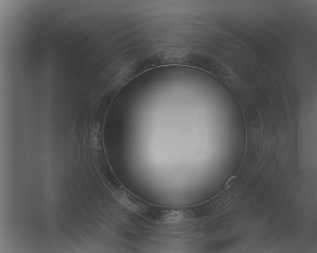 X0000056350083200509021733