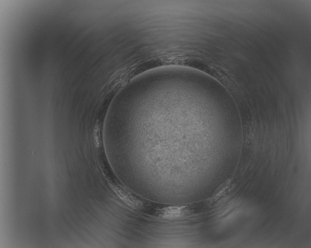 X0000056350090200509021733