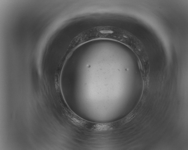 X0000056350093200509021733