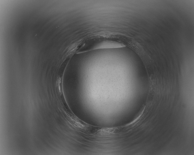 X0000056350094200509021733