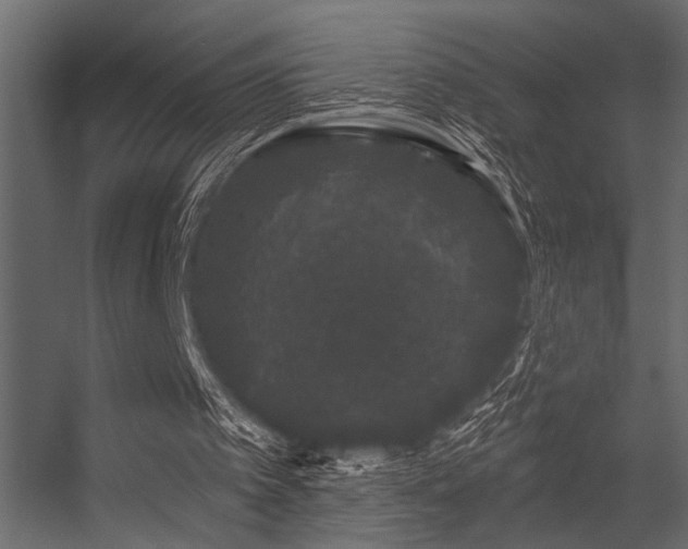 X0000056350097200509021732