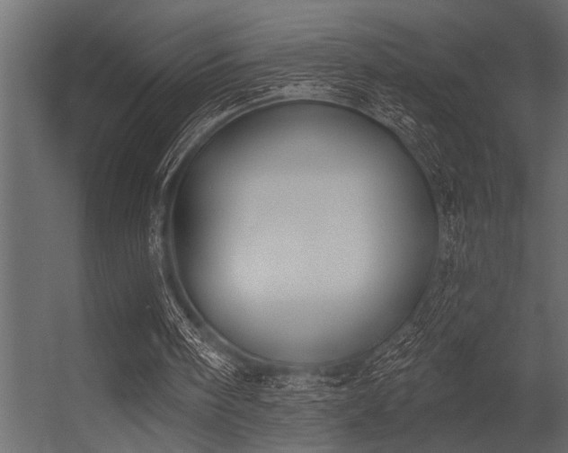 X0000056350098200509021732