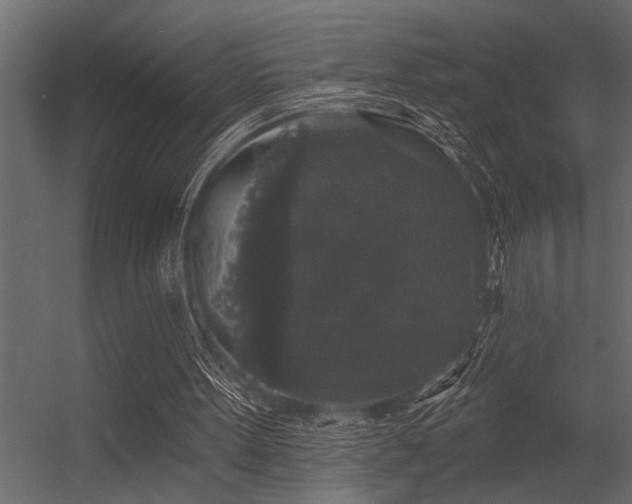 X0000056350099200509021732