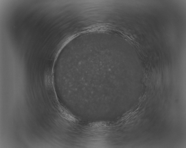 X0000056350100200509021732