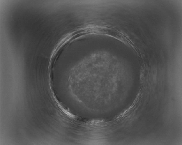 X0000056350101200509021732