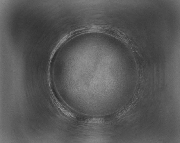 X0000056350102200509021732