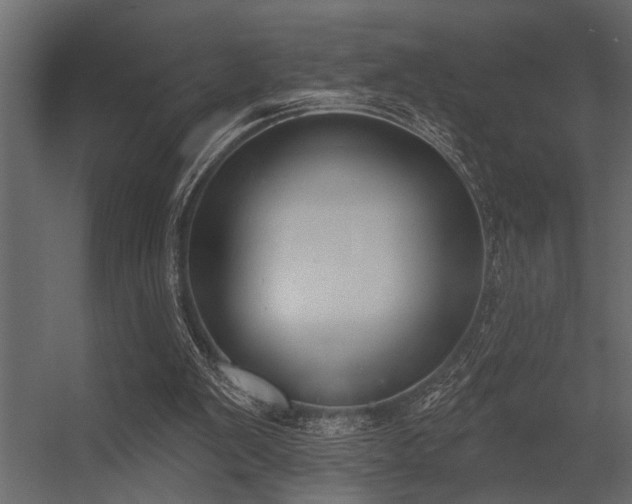 X0000056350103200509021732