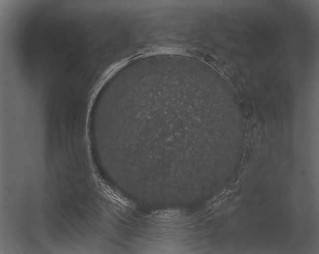 X0000056350104200509021732