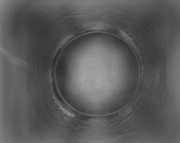 X0000056350106200509021732