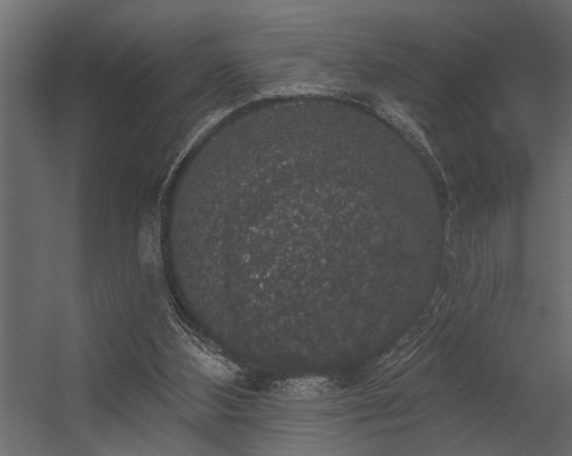 X0000056350108200509021732