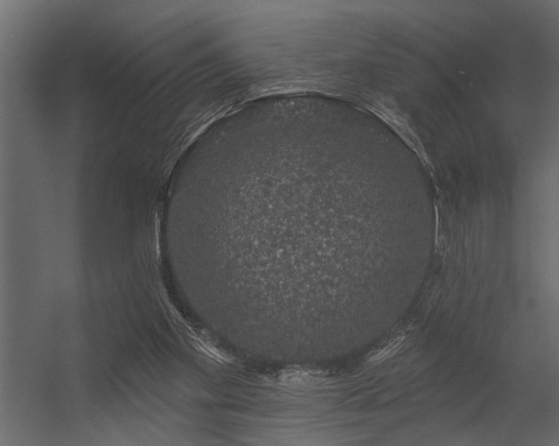 X0000056350109200509021732